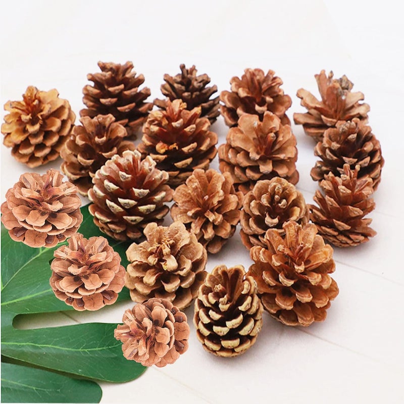 QHZHANG Christmas Bulk Package of Natural Pinecones for Home Party Decorations-25 Pack (1) - Image 1